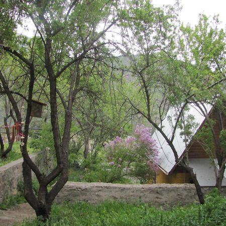 Вілла Refugio Coyoacan Guayacan  Екстер'єр фото